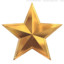 Gold/star
