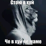 тёмыч брызговик