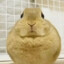 ILoveCuteBunnies358