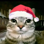 N1KO - steam id 76561198963884124