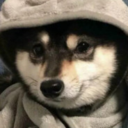 我总是第二选择