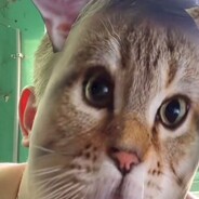 Vas1liy Steam avatar