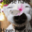 pls have e sex with me :}