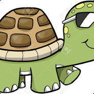 ShTurtle avatar