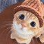 catlos