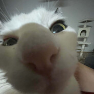 TEYUY_2