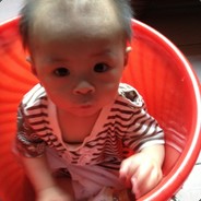 落地成盒专业户