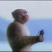 monke4986