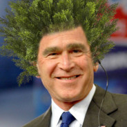 George the bush