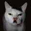 Kitler