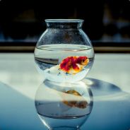 有时候我也会觉得队友很不给力