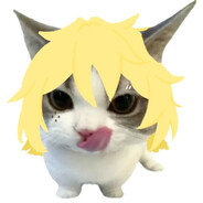 卑微的OW瓦基学弟钢索