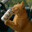 Bobita's Avatar