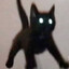 MeowMeow ₍^. .^₎⟆