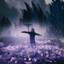 Darko