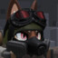 Krieg Fox