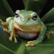 crazy frog