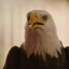 Eagly