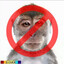 Not monkey