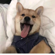 跳蛋漏电命悬一线