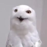 MDNY - steam id 76561198983712427