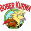 BOBER KURWA