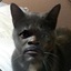 Samuel l Catson