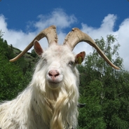 Goat - steam id 76561197960716346