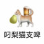 叼梨猫支啤