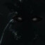 Dark