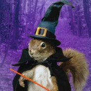 Squirrel Wizard