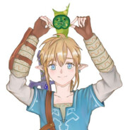 LINK