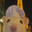 Ryan's Avatar