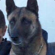 играю за вуйчича