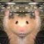 SpikyPotato