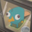 Perry the platypus