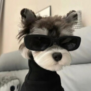 带了应该不算给