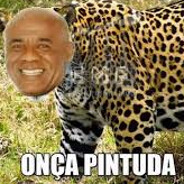 Onça Pintuda.xereca.bet