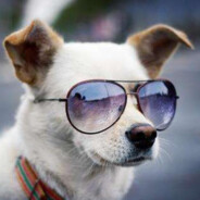 大型游泳池菜鸟观测员