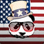 Patriotic Panda