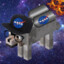 Perrito_Nasa