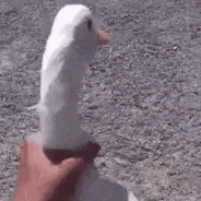Talzec