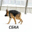 сбка