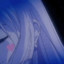 loli