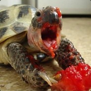 TurtlesRool