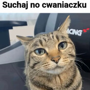 Majtas