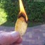 Lit Potato Chip