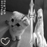 Оккоцу