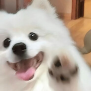 洁洁大王