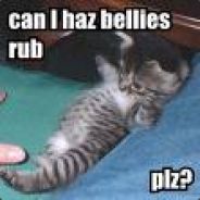 add my new profile Tabookit